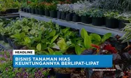 Bisnis Tanaman Hias Keuntungannya Berlipat-lipat