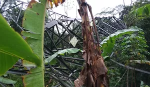 Tower Transmisi di Palabuhanratu Roboh, PLN Minta Maaf