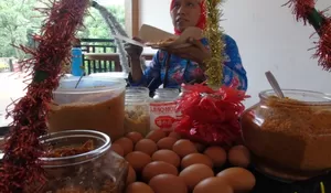 Ini Mitos Micin Yang Terbantahkan