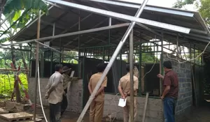 Warga Ramai-ramai Bangun Rumah Janda