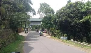 TIKET MAHAL, CURUG CIGAMEA DISOAL PENGUNJUNG