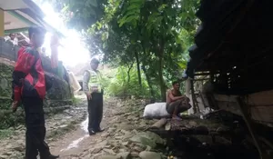 PENCURI SADIS, 11 KAMBING  DIKULITI  DI KANDANG