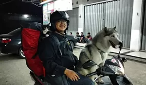 Seorang Pria Yang Naik Motor Dengan Anjing Dan Kucing Kesayangannya