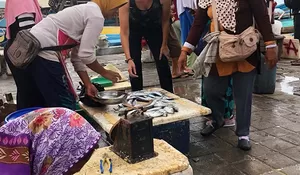 Tamara Bleszynski Saat Blusukan ke Pasar Tradisional