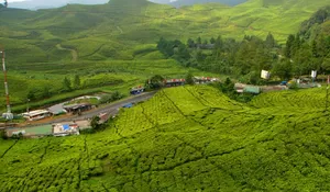 Puncak tak Lagi Dingin