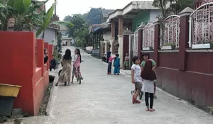 Bogor Waspada Chikungunya