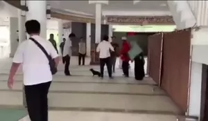 Berkas Kasus Perempuan Pembawa Anjing ke Masjid Dikembalikan Kejari