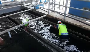 Hilangkan Lumut dan Jernihkan Air