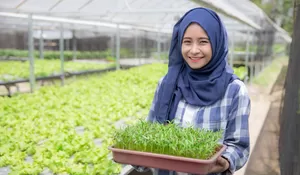 Kementan Ajak Generasi Milenial Bertani