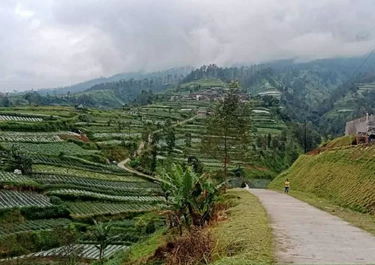 Pesona Negeri Kahyangan Lereng Merbabu Tawarkan Lima Gunung Menakjubkan