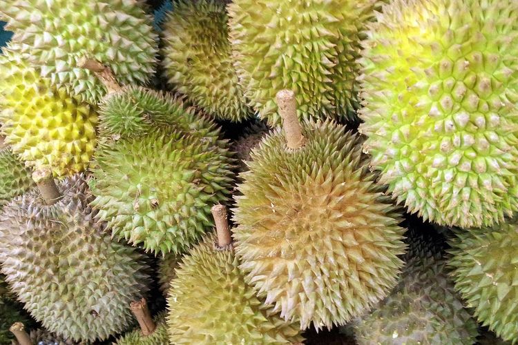 Wow Jatim Peringkat Ini Daftar Daerah Penghasil Durian Terbanyak Di