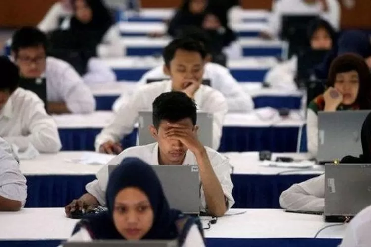 Seleksi Cpns Juga Terbuka Untuk Fresh Graduate Bisa Jadi Pns