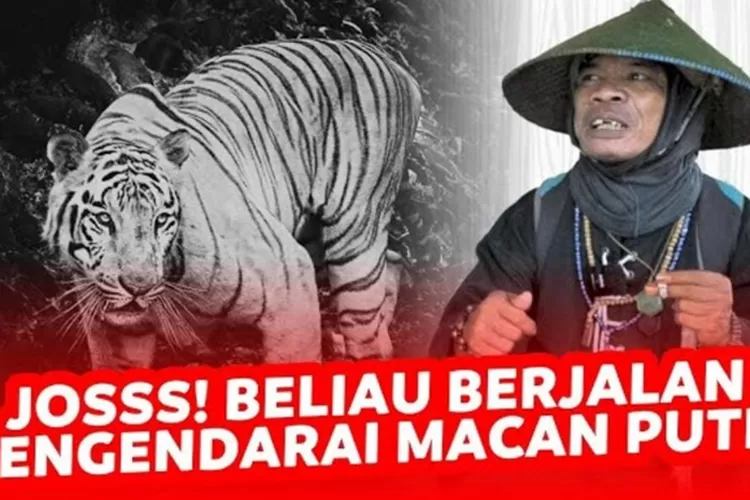 Mengenal Joko Kendil Musafir Viral Di Tiktok Yang Mengaku Mengendarai