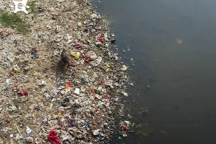 Pembuangan Sampah Plastik Dari Sungai Dan Garis Pantai Di Indonesia