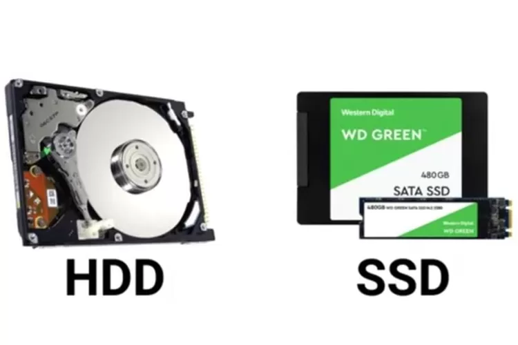 Ini Perbedaan Ssd Dan Hdd Pada Laptop Pengguna Wajib Tahu Harian Haluan