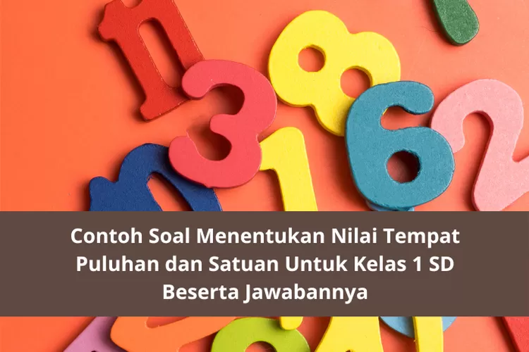 Contoh Soal Menentukan Nilai Tempat Puluhan Dan Satuan Untuk Kelas