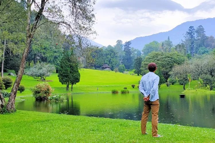 4 Rekomendasi Wisata Alam Menyegarkan Di Puncak Bogor Cianjur Radar