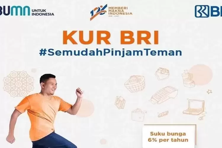 Simak Cara Mudah Cek Bi Checking Secara Online Agar Pengajuan Pinjaman