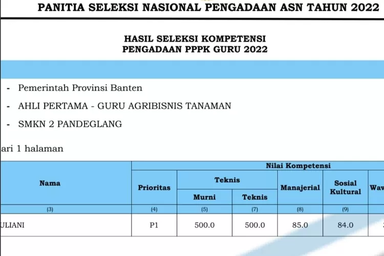 Pengumuman Kelulusan PPPK Guru Tahun 2022 Cek Di Sini Apakah Nama Kamu