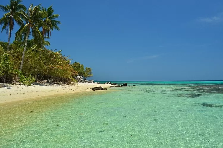 Rekomendasi Aktivitas Seru Di Taman Nasional Karimunjawa Bisa Masuk