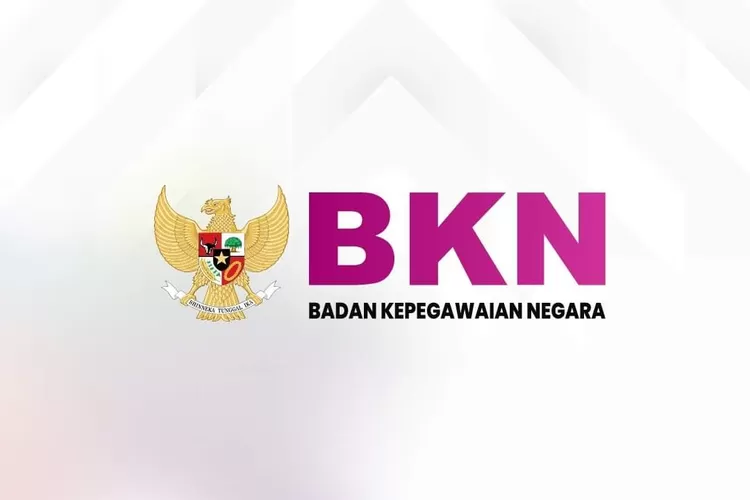 Sah Ini Batas Usia Pensiun Pns Yang Resmi Ditetapkan Bkn Klik Pendidikan