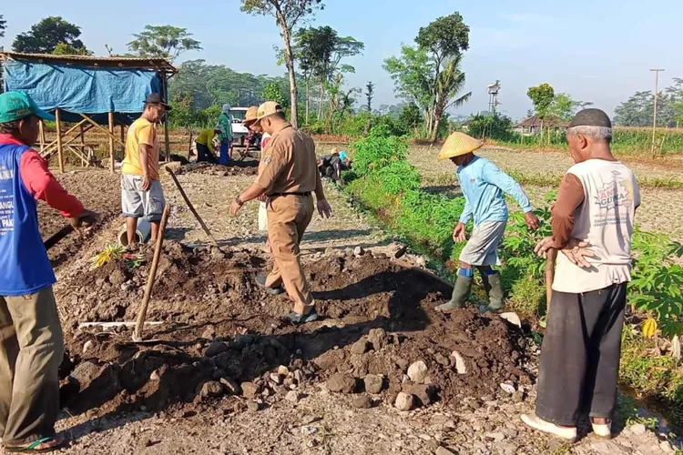 Majukan Pertanian Masyarakat Desa Pemdes Pasirharjo Blitar Bangun