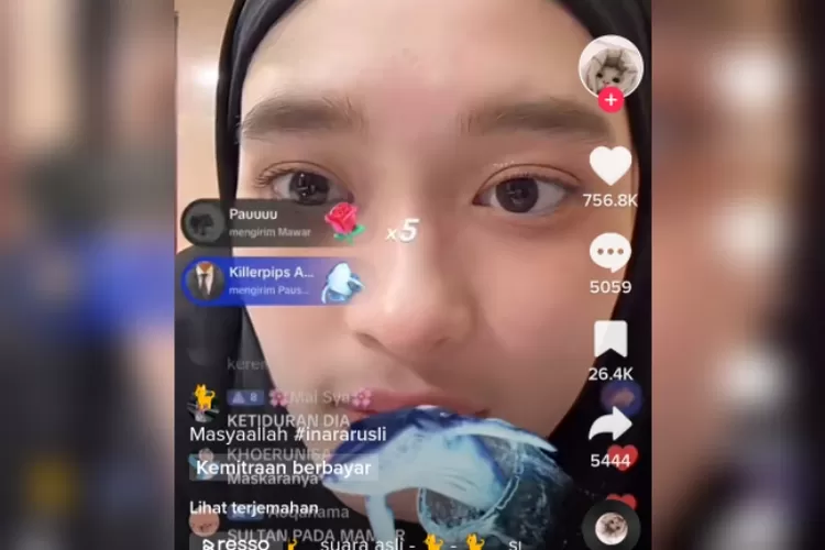 Beredar Kabar Harga Gift Paus Yang Viral Di Tiktok Tembus Angka Jutaan