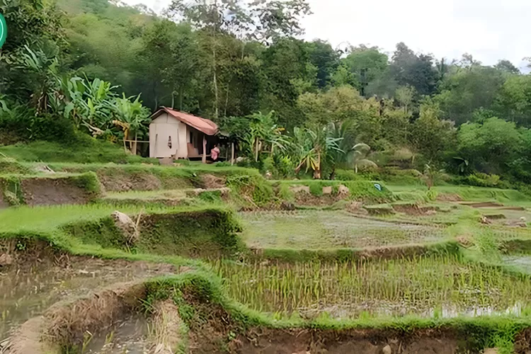 Inilah Desa Terpencil Di Garut 40 Tahun Hidup Tanpa Listrik Dalam