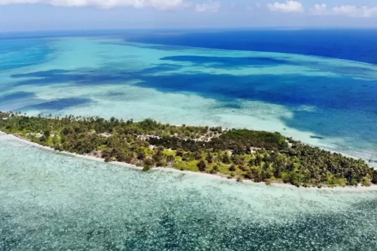 Menyelami Taman Nasional Wakatobi Surga Bawah Laut Di Sulawesi