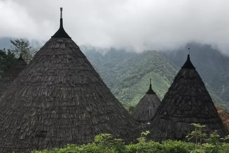 Berbagai Keunikan Di Desa Adat Wae Rebo Flores Ntt Jurnal Flores