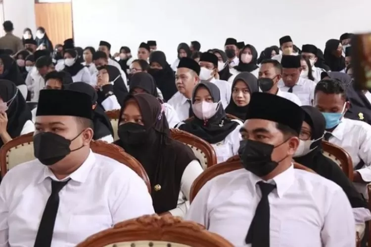 Mau Lulus Seleksi CPNS 2023 Jangan Asal Belajar Calon Pendaftar Perlu