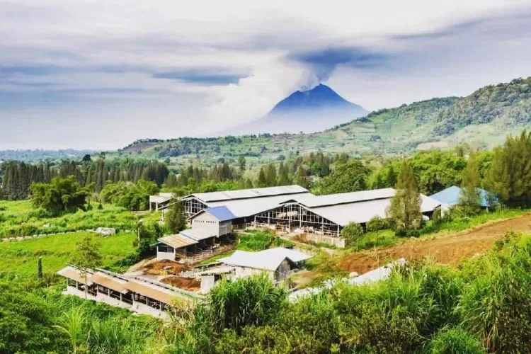 Bikin Liburan Makin Seru Inilah 5 Tempat Wisata Di Medan Yang Wajib