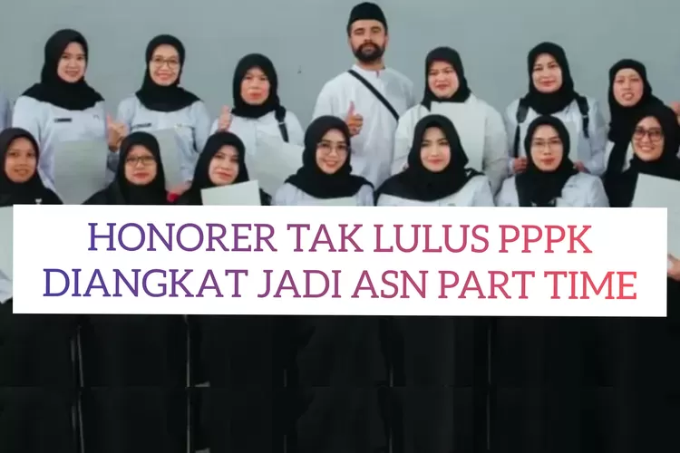 TAK LULUS PPPK HONORER DIANGKAT JADI ASN PART TIME Besaran Gaji Dari