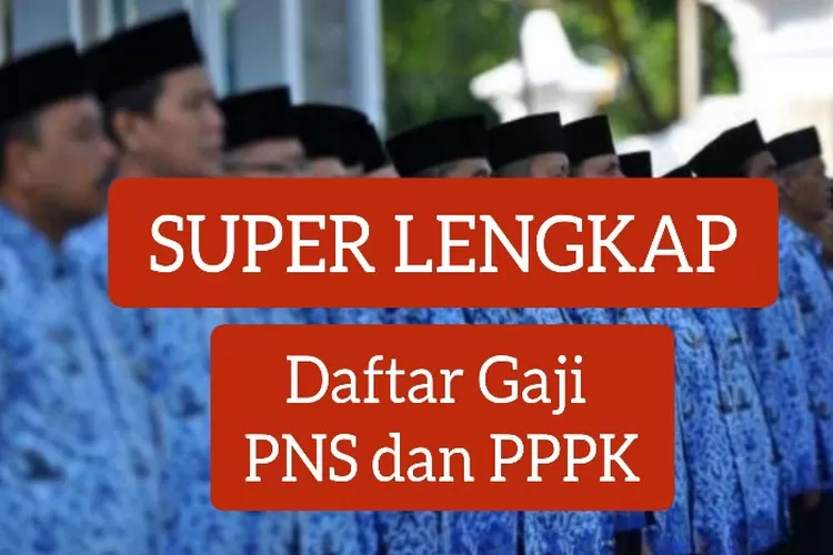 Cpns Hampir Dibuka Inilah Perbedaan Gaji Pppk Dan Pns Tahun