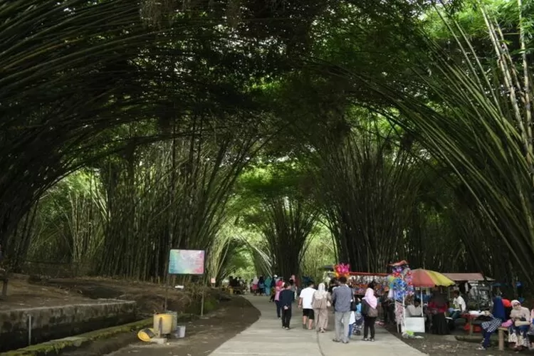 Letaknya Km Dari Kota Lumajang Inilah Wisata Hutan Bambu Yang