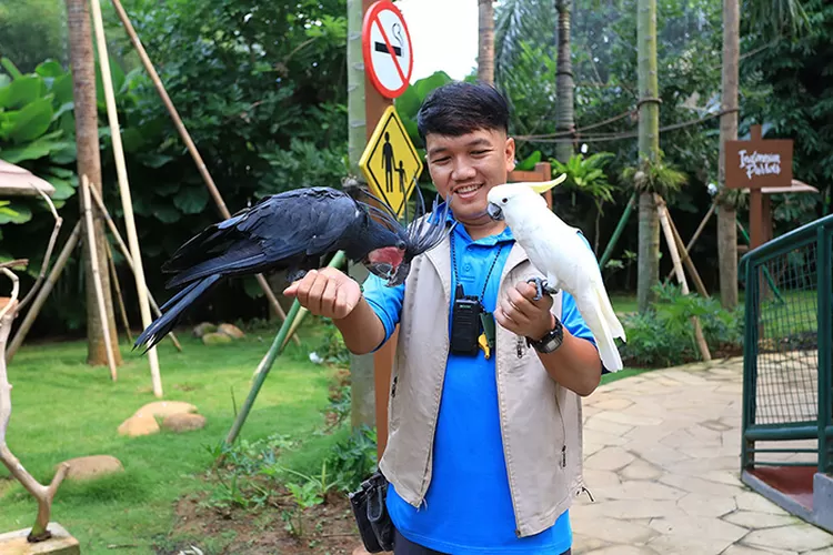 Mengenal Kehidupan Burung Di Jakarta Bird Land Tangerang Raya