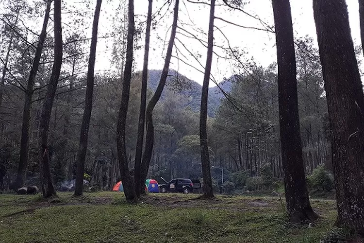 Hore Wisata Gunung Puntang Kembali Dibuka Ayo Bandung