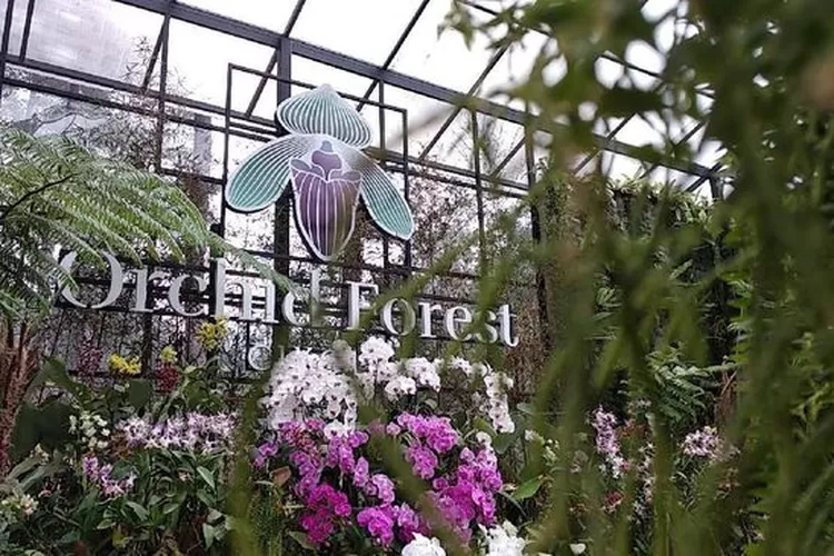 06b49b6d-8a0d-44a5-a666-c44e4ee72d04_169