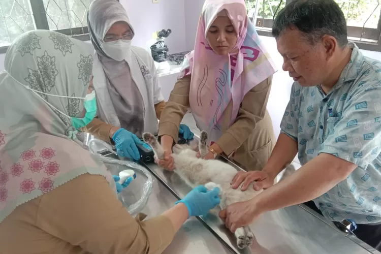 Kembali Dibuka Puskeswan Kota Bogor Layani Vaksin Rabies Gratis RBG Id