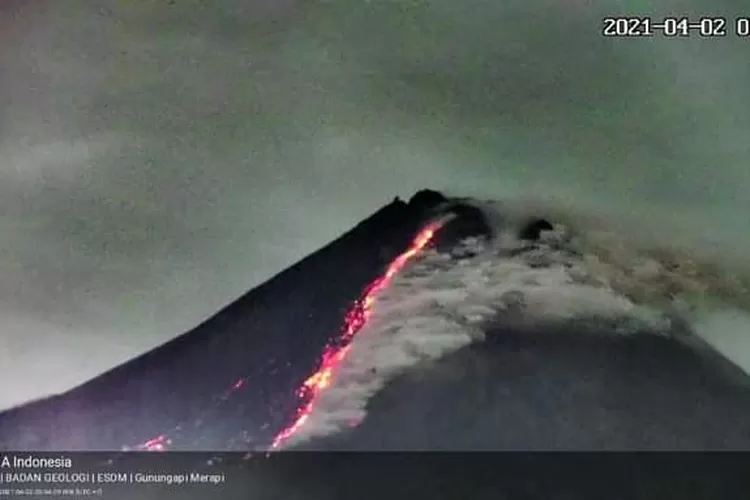 WhatsApp Image 2021-04-02 at 11.35.49 AM