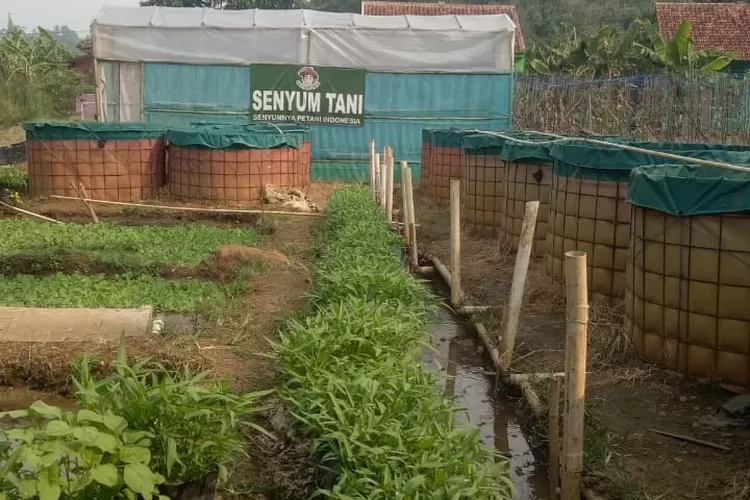 LESTARI: Ladang pertanian di Desa Cihideungudik terus dilestarikan warga sejak turun-temurun.