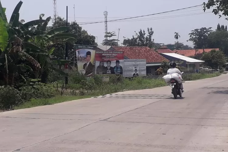 BERMUNCULAN: Jelang Pilkades, sepanjang JLD dipasangi spanduk dan baliho cakades. Unit Pol PP Kecamatan Dramaga pun siap mengawasi pemasangan spanduk tersebut.