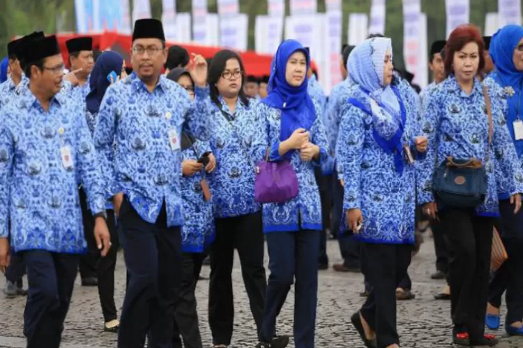 Selain Rombak Batas Usia Pensiun BKN Juga Tambah Periodesasi Kenaikan