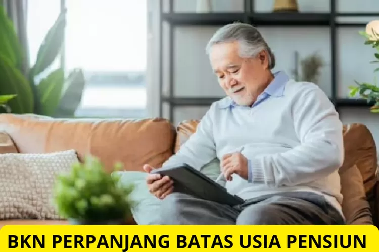 Bkn Keluarkan Peraturan Pensiun Bagi Pns Usia Masih Bisa Aktif