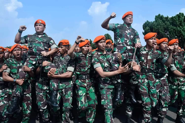 Resmi Ditetapkan Pemerintah Ini Nominal Gaji TNI Terbaru 2024 Dari