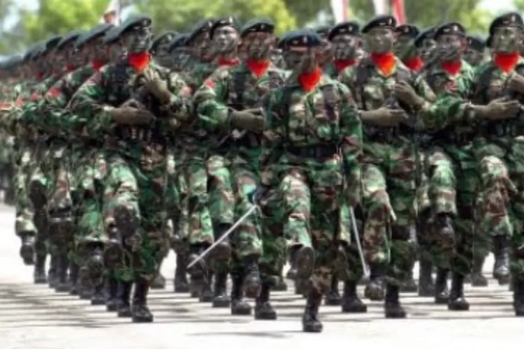 Resmi Naik 8 Persen Berikut Tabel Gaji TNI Pangkat Tamtama Bintara