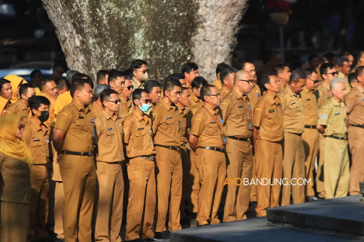 Uji Coba Single Salary Segini Gaji Pns Oktober Tunjangan