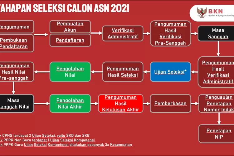 Sudah Dibuka Berikut Tahapan Pendaftaran Cpns Bkn Siap Terima