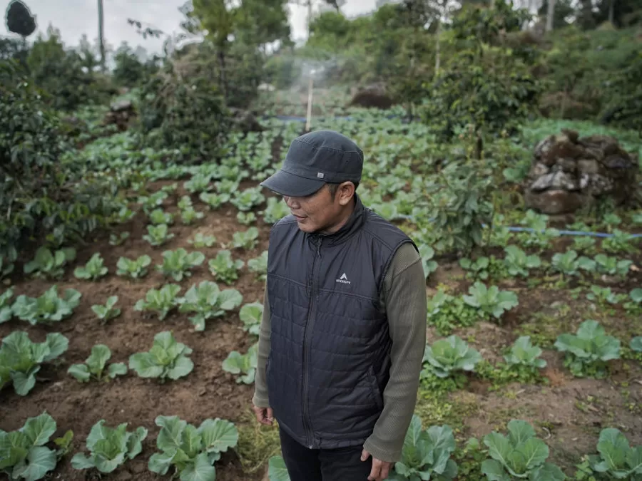 Kisah Petani Asal Kabupaten Bandung Manfaatkan Jaminan LPS Untuk Simpan