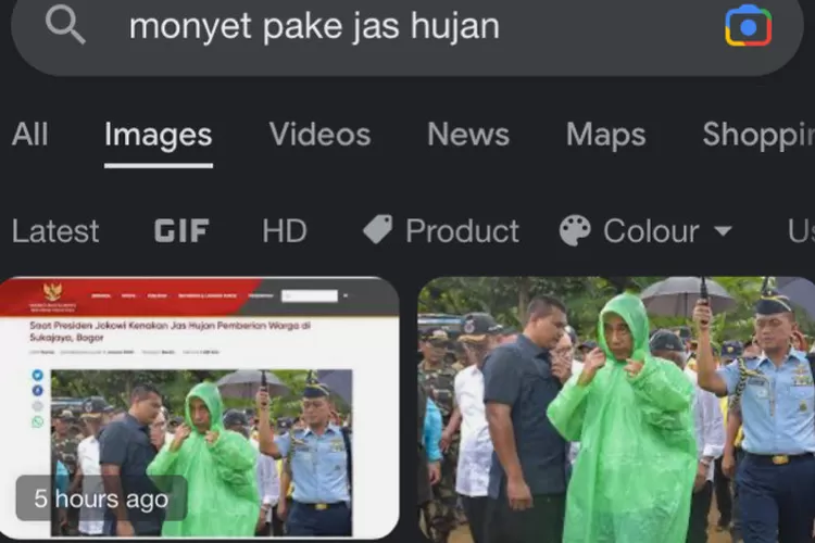 Heboh Pencarian Google Monyet Pakai Jas Hujan Hijau Yang Muncul Foto